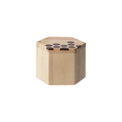 Hex Stars Salt or Spice Box with Swivel Cover